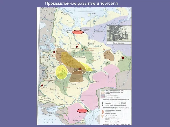 Промышленное развитие и торговля