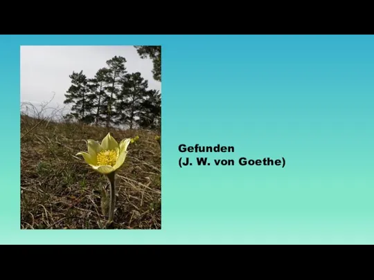 Gefunden (J. W. von Goethe)