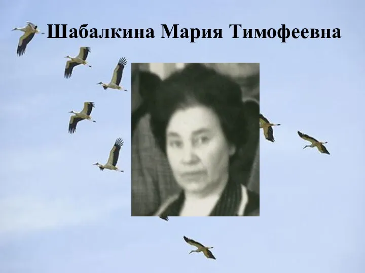 Шабалкина Мария Тимофеевна