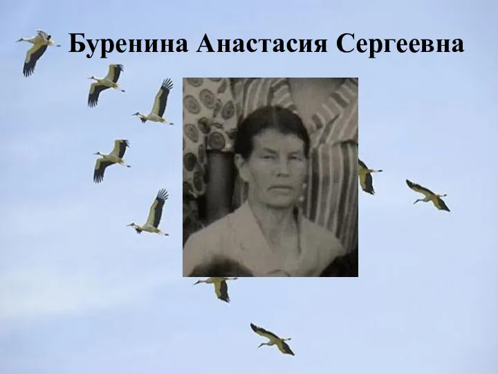 Буренина Анастасия Сергеевна