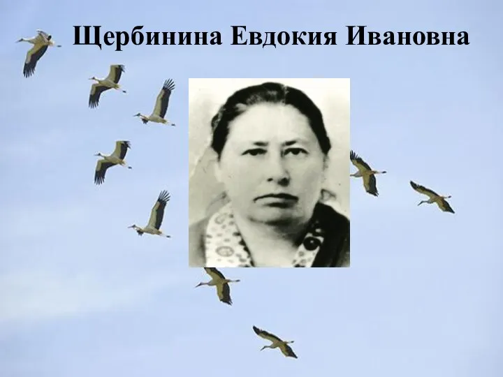 Щербинина Евдокия Ивановна