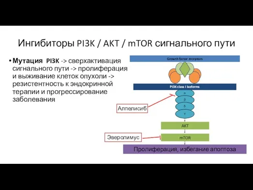 Ингибиторы PI3K / AKT / mTOR сигнального пути Эверолимус Мутация PI3K ->