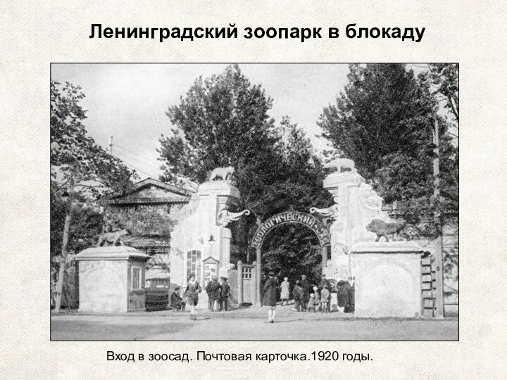 Ленинградский зоопарк в блокаду Вход в зоосад. Почтовая карточка.1920 годы.