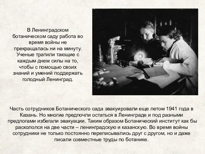 Часть сотрудников Ботанического сада эвакуировали еще летом 1941 года в Казань. Но