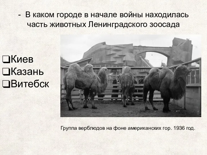 - В каком городе в начале войны находилась часть животных Ленинградского зоосада