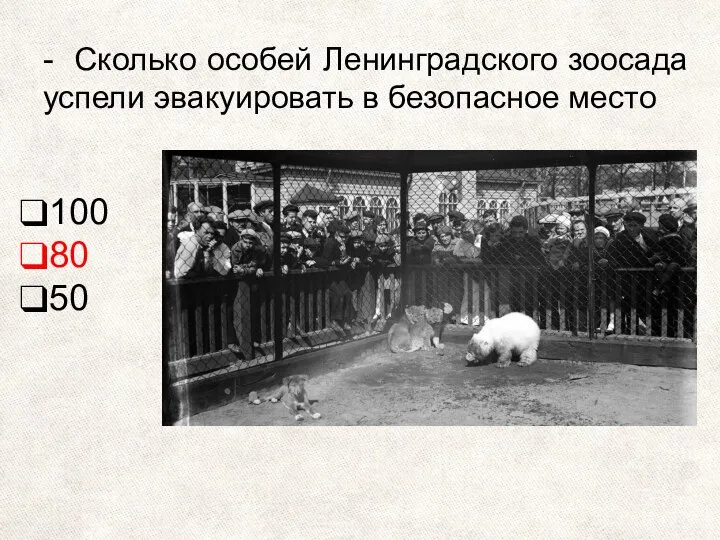 - Сколько особей Ленинградского зоосада успели эвакуировать в безопасное место 100 80 50
