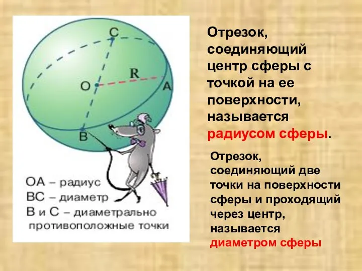 Отрезок, соединяющий центр сферы с точкой на ее поверхности, называется радиусом сферы.