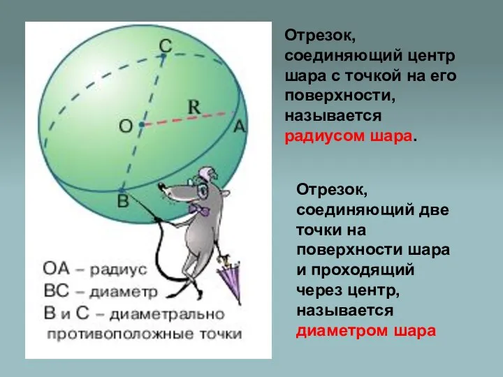 Отрезок, соединяющий центр шара с точкой на его поверхности, называется радиусом шара.