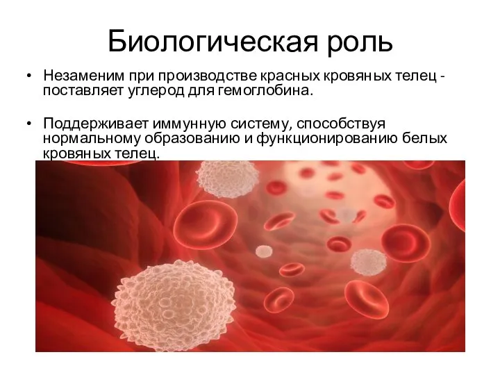 Биологическая роль Незаменим при производстве красных кровяных телец - поставляет углерод для