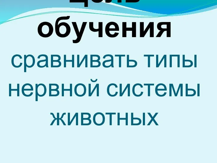 Цель обучения сравнивать типы нервной системы животных