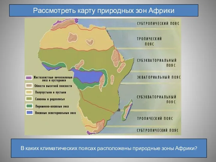 Рассмотреть карту природных зон Африки В каких климатических поясах расположены природные зоны Африки?