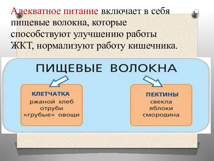 Адекватное питание включает в себя пищевые волокна, которые способствуют улучшению работы ЖКТ, нормализуют работу кишечника.