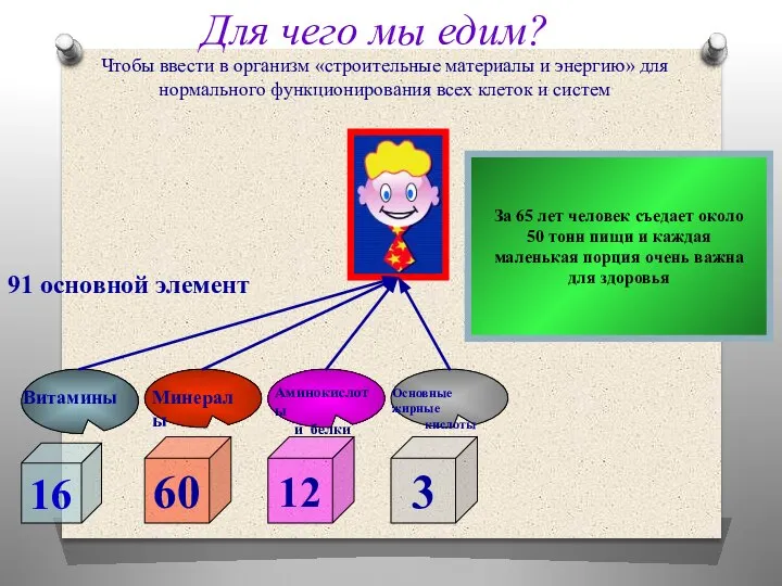 Для чего мы едим? Чтобы ввести в организм «строительные материалы и энергию»