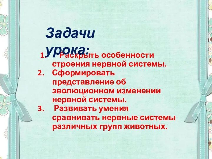 1. Раскрыть особенности строения нервной системы. Сформировать представление об эволюционном изменении нервной