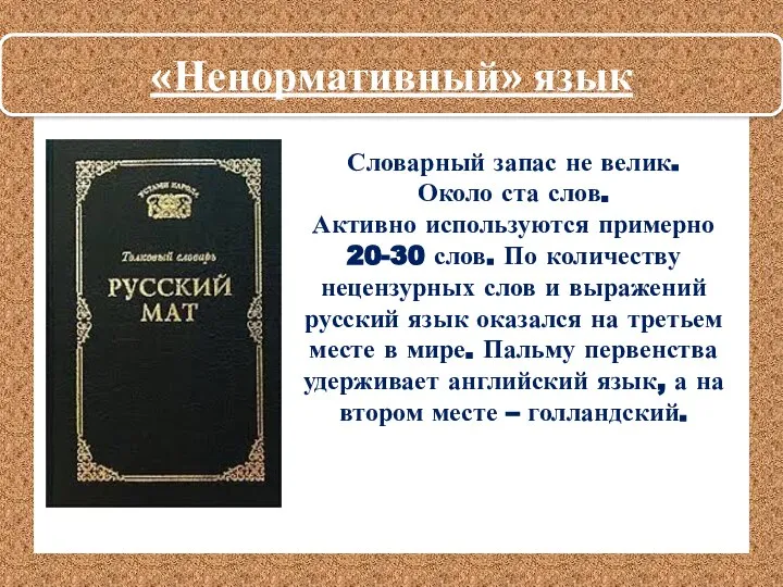 «Ненормативный» язык Словарный запас не велик. Около ста слов. Активно используются примерно