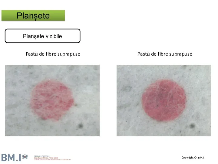 Pastă de fibre suprapuse Pastă de fibre suprapuse Planșete vizibile