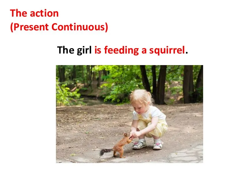 The action (Present Continuous) The girl is feeding a squirrel.