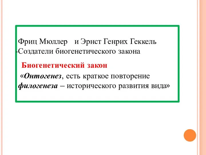 Фриц Мюллер и Эрнст Генрих Геккель Создатели биогенетического закона Биогенетический закон «Онтогенез,