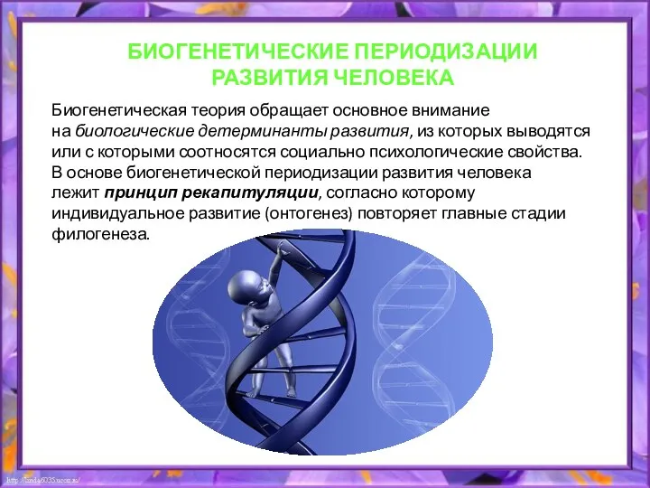 БИОГЕНЕТИЧЕСКИЕ ПЕРИОДИЗАЦИИ РАЗВИТИЯ ЧЕЛОВЕКА Биогенетическая теория обращает основное внимание на биологические детерминанты