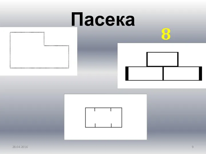 Пасека 28.04.2016 8