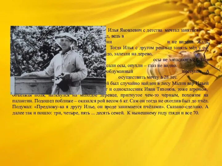 Илья Яковлевич с детства мечтал заняться пчеловодством, любил мёд, ведь в послевоенное