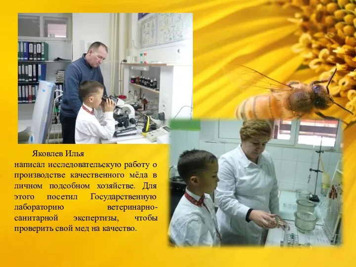 Яковлев Илья написал исследовательскую работу о производстве качественного мёда в личном подсобном