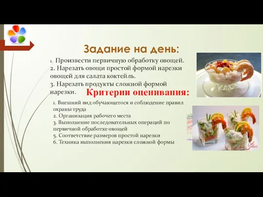 Задание на день: Критерии оценивания: 1. Произвести первичную обработку овощей. 2. Нарезать