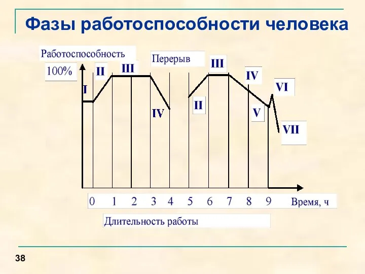 Фазы работоспособности человека 38