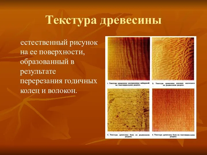 Текстура древесины естественный рисунок на ее поверхности, образованный в результате перерезания годичных колец и волокон.