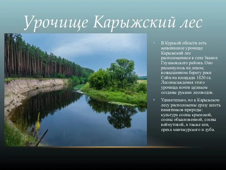 В Курской области есть живописное урочище Карыжский лес расположенное в селе Званое