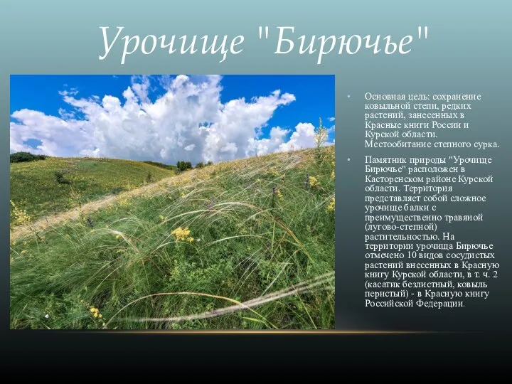 Основная цель: сохранение ковыльной степи, редких растений, занесенных в Красные книги России