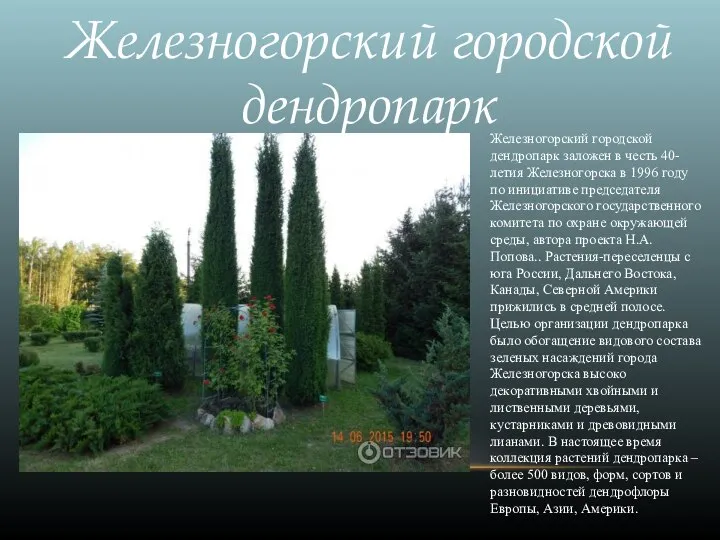Железногорский городской дендропарк заложен в честь 40-летия Железногорска в 1996 году по