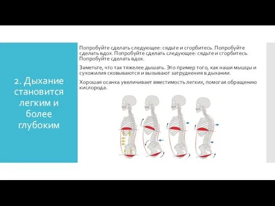 2. Дыхание становится легким и более глубоким Попробуйте сделать следующее: сядьте и