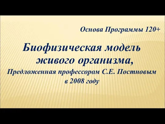 Основа Программы 120+ Биофизическая модель живого организма, Предложенная профессором С.Е. Постновым в 2008 году