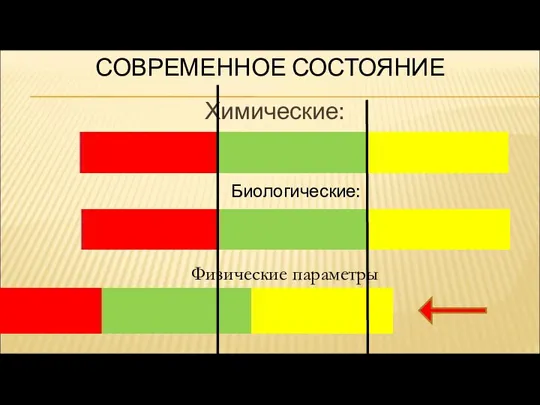 СОВРЕМЕННОЕ СОСТОЯНИЕ Химические: Биологические: Физические параметры