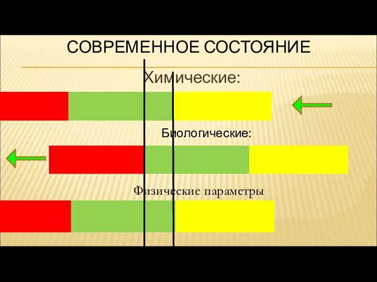 СОВРЕМЕННОЕ СОСТОЯНИЕ Химические: Биологические: Физические параметры