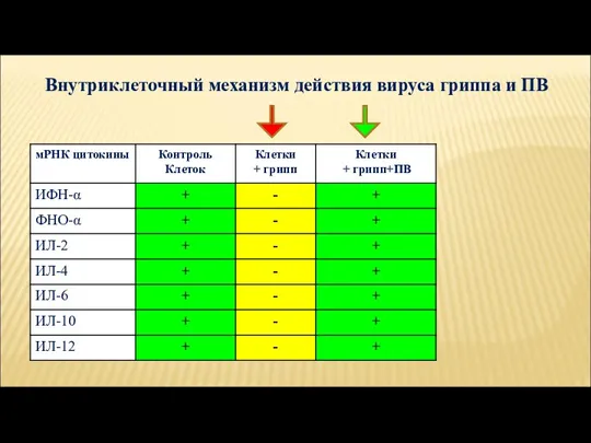 Внутриклеточный механизм действия вируса гриппа и ПВ