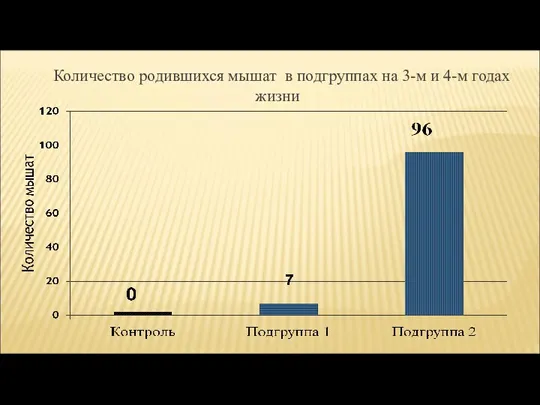 Количество родившихся мышат в подгруппах на 3-м и 4-м годах жизни