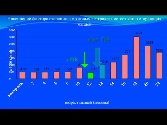 с ПВ Накопление фактора старения в мозговых экстрактах естественно стареющих мышей возраст мышей (месяцы)