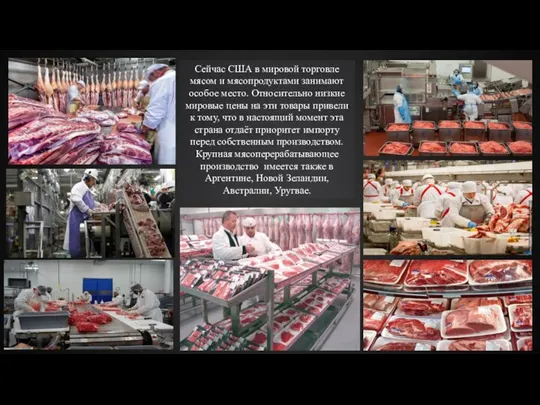 Сейчас США в мировой торговле мясом и мясопродуктами занимают особое место. Относительно