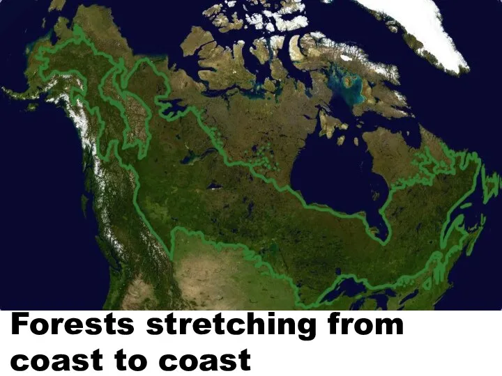 Forests stretching from coast to coast