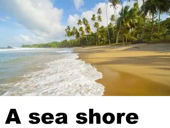 A sea shore