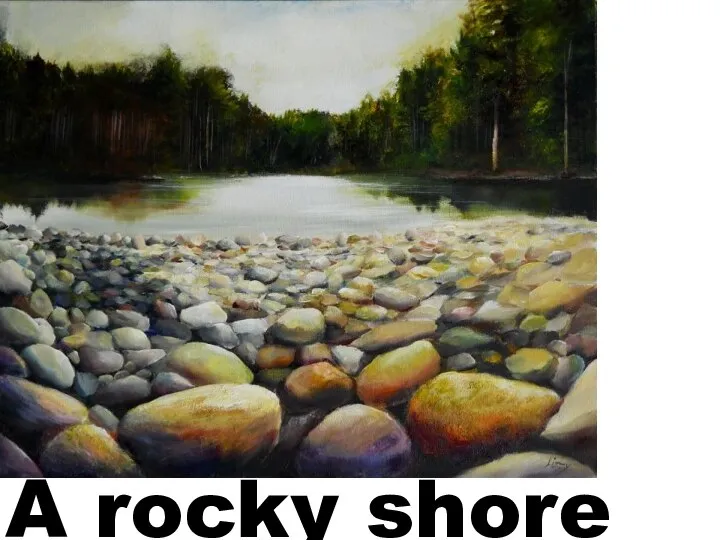 A rocky shore