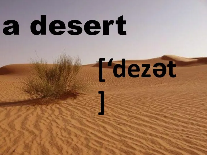 a desert [‘dezǝt]