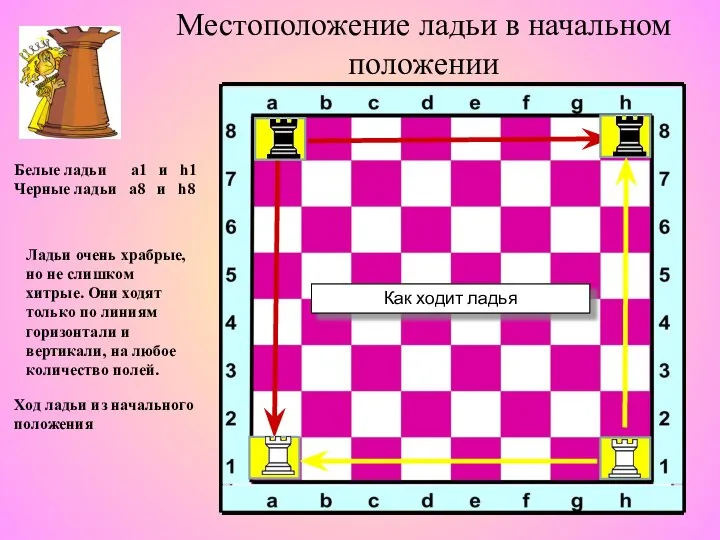 Местоположение ладьи в начальном положении Ладьи очень храбрые, но не слишком хитрые.