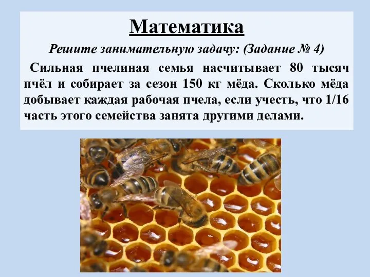 Математика Решите занимательную задачу: (Задание № 4) Сильная пчелиная семья насчитывает 80
