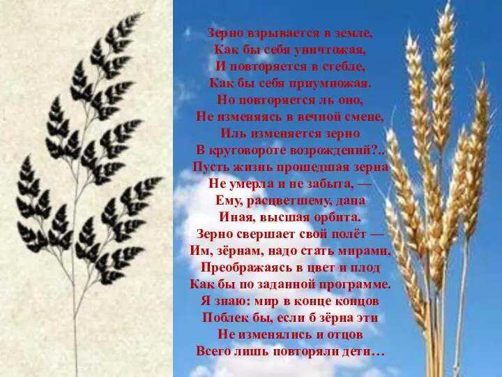 Зерно взрывается в земле, Как бы себя уничтожая, И повторяется в стебле,