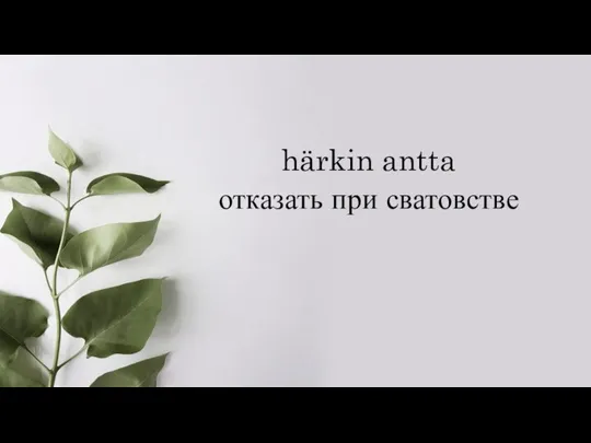 härkin antta отказать при сватовстве