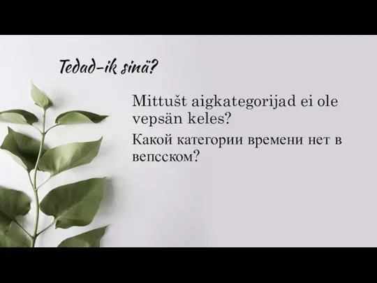 Tedad-ik sinä? Mittušt aigkategorijad ei ole vepsän keles? Какой категории времени нет в вепсском?