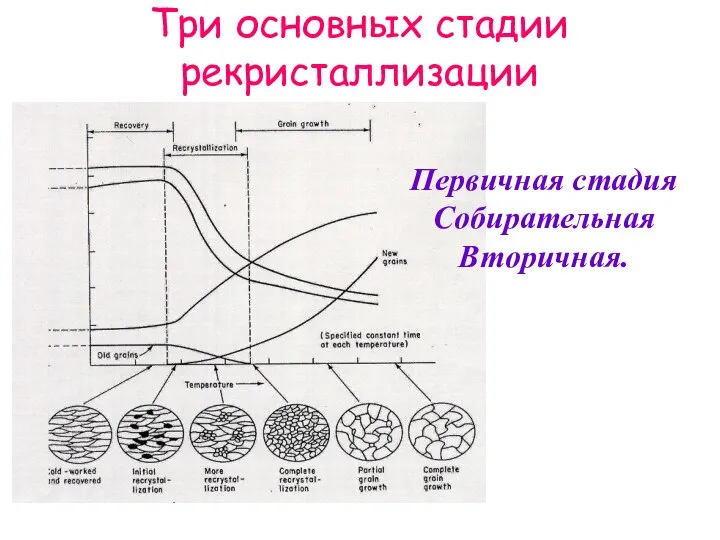 Три основных стадии рекристаллизации Первичная стадия Собирательная Вторичная.